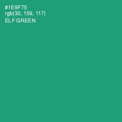 #1E9F75 - Elf Green Color Image