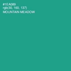 #1EA089 - Mountain Meadow Color Image
