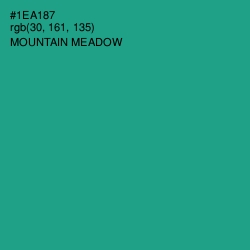 #1EA187 - Mountain Meadow Color Image