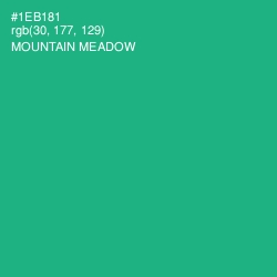 #1EB181 - Mountain Meadow Color Image