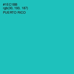 #1EC1BB - Puerto Rico Color Image
