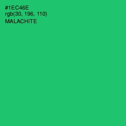 #1EC46E - Malachite Color Image