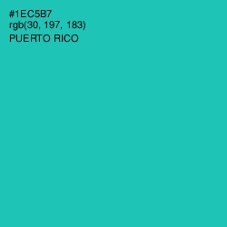 #1EC5B7 - Puerto Rico Color Image