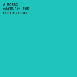 #1EC5BC - Puerto Rico Color Image