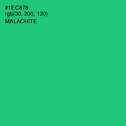 #1EC878 - Malachite Color Image