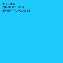 #1EC9FB - Bright Turquoise Color Image