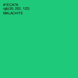 #1ECA7A - Malachite Color Image