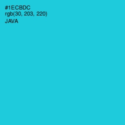 #1ECBDC - Java Color Image