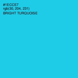 #1ECCE7 - Bright Turquoise Color Image