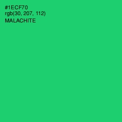 #1ECF70 - Malachite Color Image