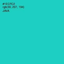 #1ECFC2 - Java Color Image