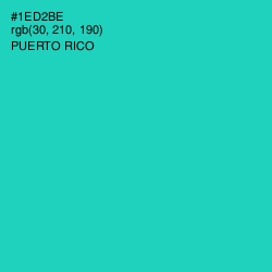 #1ED2BE - Puerto Rico Color Image