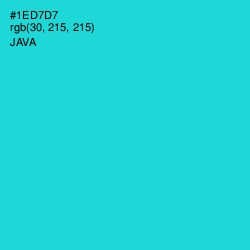 #1ED7D7 - Java Color Image