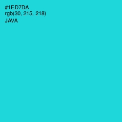 #1ED7DA - Java Color Image