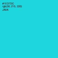 #1ED7DC - Java Color Image