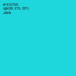 #1ED7DD - Java Color Image