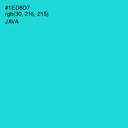 #1ED8D7 - Java Color Image