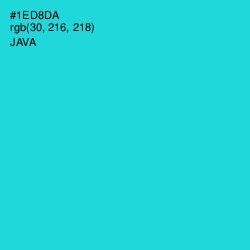 #1ED8DA - Java Color Image