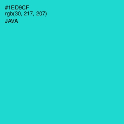 #1ED9CF - Java Color Image