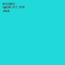 #1ED9D7 - Java Color Image