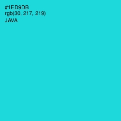 #1ED9DB - Java Color Image