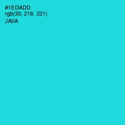 #1EDADD - Java Color Image