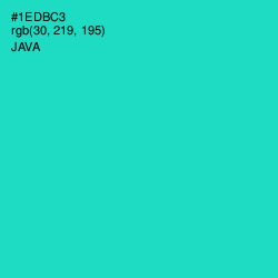 #1EDBC3 - Java Color Image