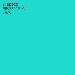 #1EDBCD - Java Color Image