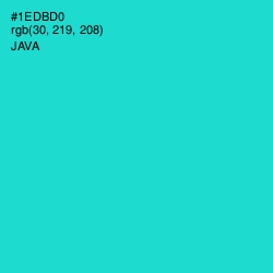 #1EDBD0 - Java Color Image