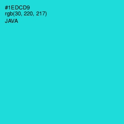 #1EDCD9 - Java Color Image