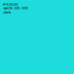 #1EDCDC - Java Color Image