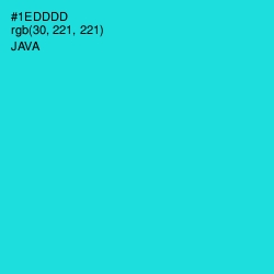 #1EDDDD - Java Color Image