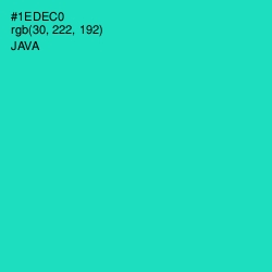 #1EDEC0 - Java Color Image