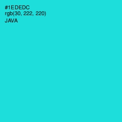 #1EDEDC - Java Color Image