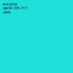 #1EDFD9 - Java Color Image