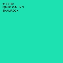 #1EE1B1 - Shamrock Color Image