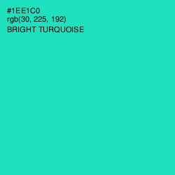 #1EE1C0 - Bright Turquoise Color Image