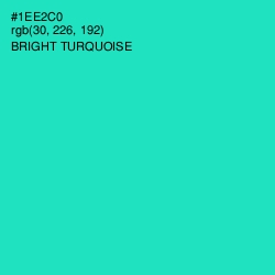 #1EE2C0 - Bright Turquoise Color Image