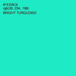 #1EEAC6 - Bright Turquoise Color Image