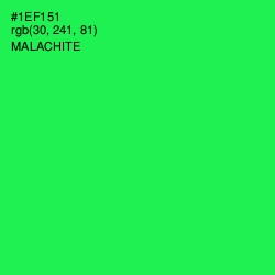 #1EF151 - Malachite Color Image