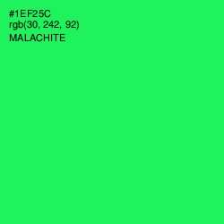 #1EF25C - Malachite Color Image