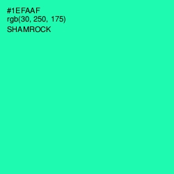 #1EFAAF - Shamrock Color Image