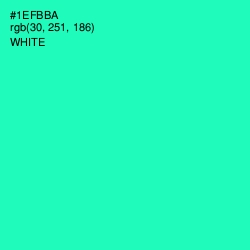 #1EFBBA - Shamrock Color Image