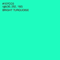 #1EFCC0 - Bright Turquoise Color Image