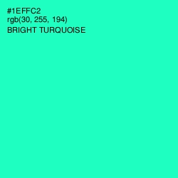 #1EFFC2 - Bright Turquoise Color Image