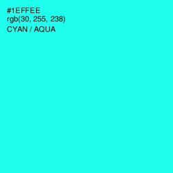 #1EFFEE - Cyan / Aqua Color Image