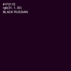 #1F011E - Black Russian Color Image