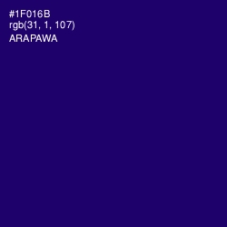 #1F016B - Arapawa Color Image