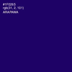 #1F0265 - Arapawa Color Image