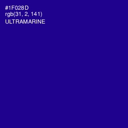 #1F028D - Ultramarine Color Image